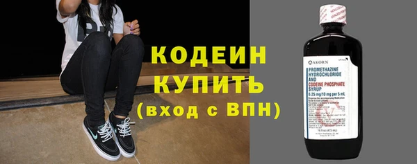 хмурый Вяземский