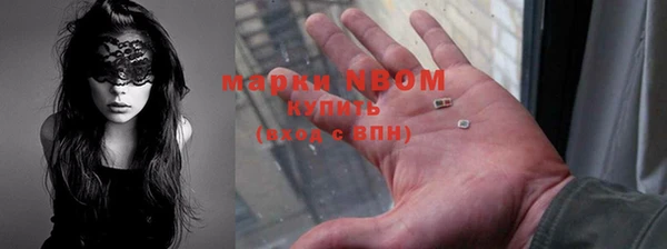 амф Горняк