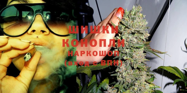 амф Горняк