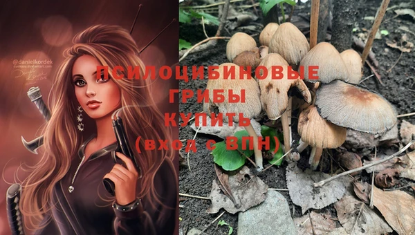 амф Горняк