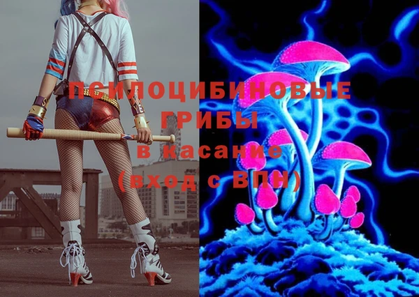 соль ск Вязьма